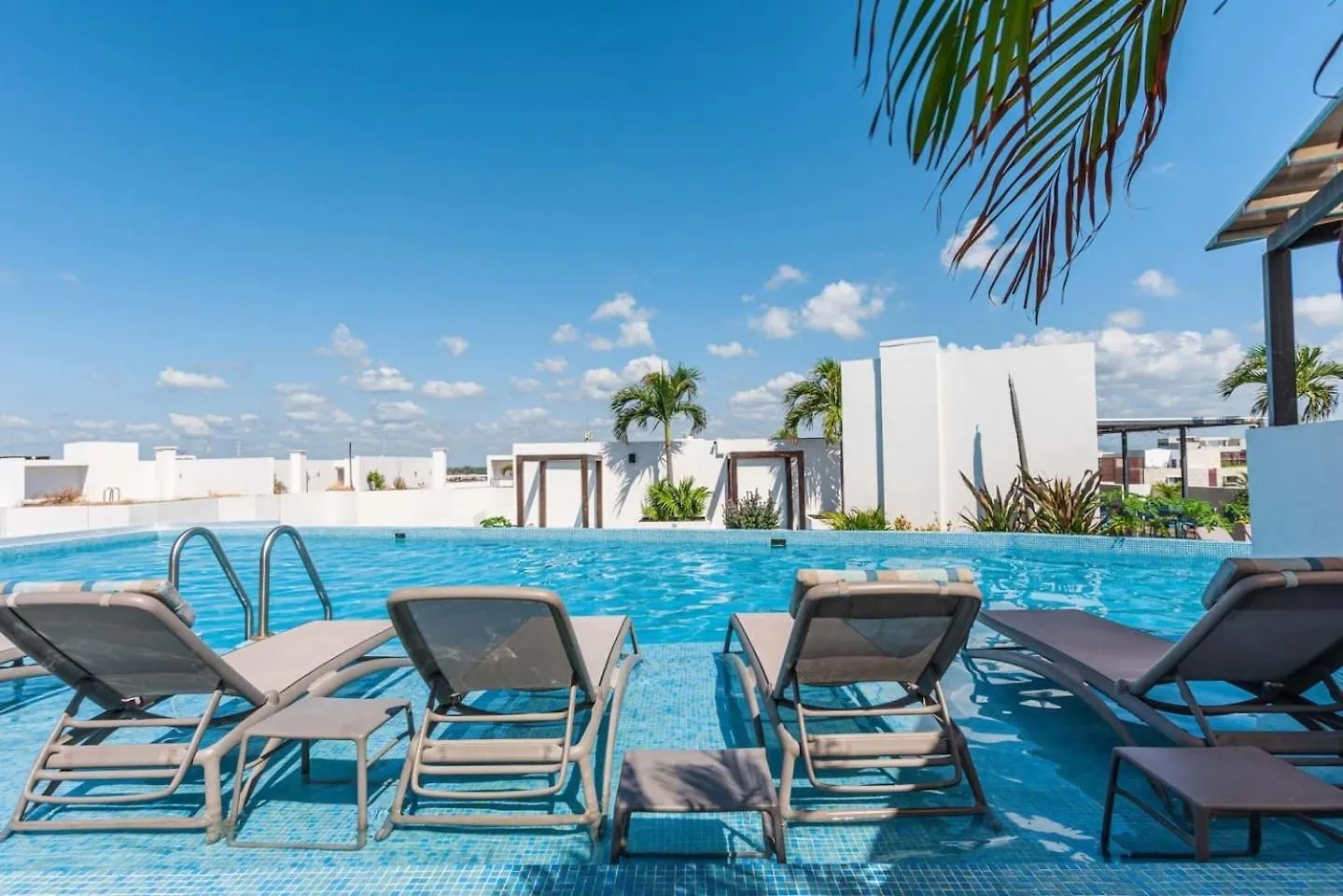 普拉亚卡门Private Pool Beautiful And Centric 1Br Ph公寓
